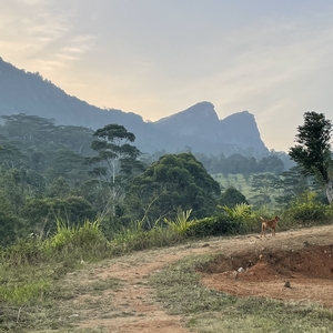 Duke of Edinburgh Trip to Sri Lanka