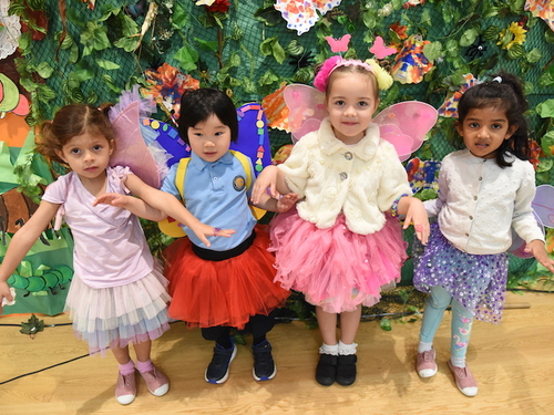 BSD-EYFS-2 BSD-EYFS-2
