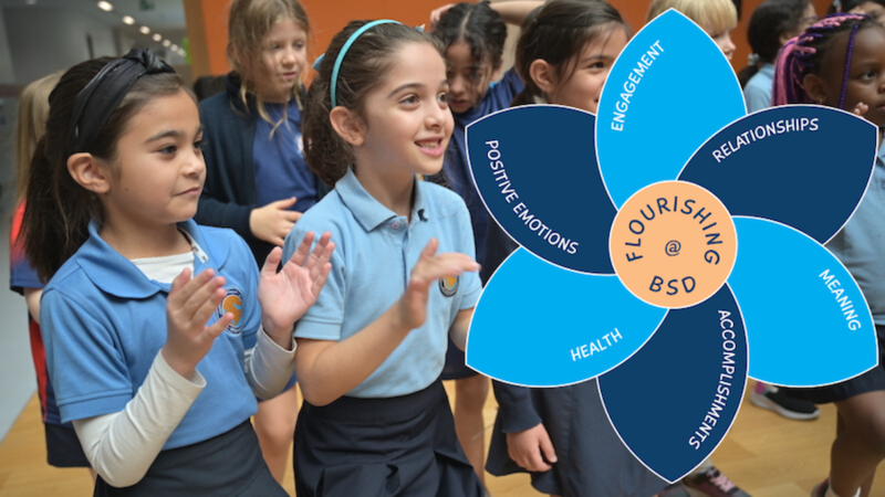 BSD Primary Student Wellbeing BSD Primary Student Wellbeing