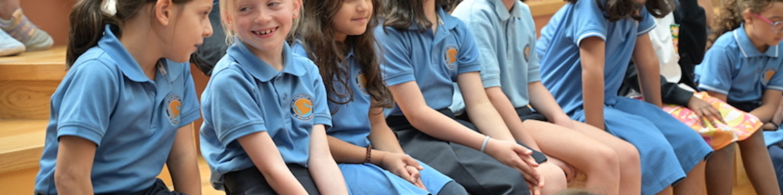 BSD-Primary2